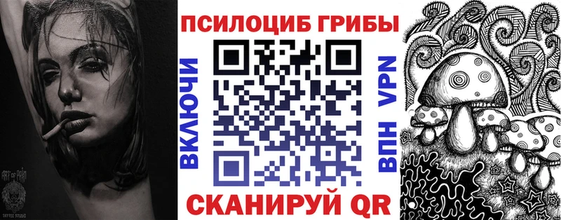 Галлюциногенные грибы мухоморы  купить закладку  Закаменск 