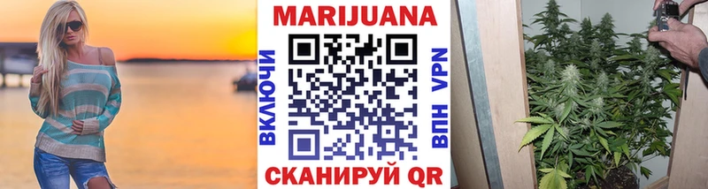 где найти   Закаменск  Марихуана ГИДРОПОН 